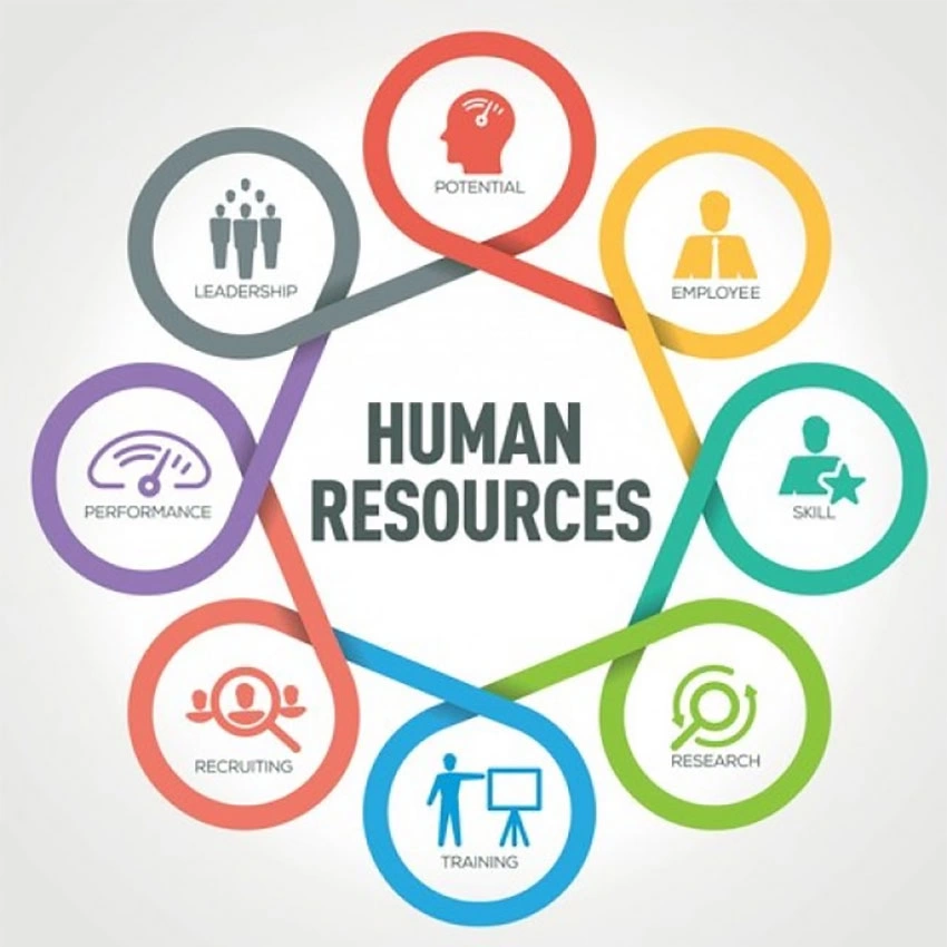 Human Resources buyer categories infographic
